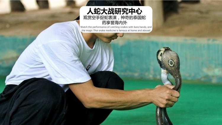 醉美泰国6天5晚(图17)