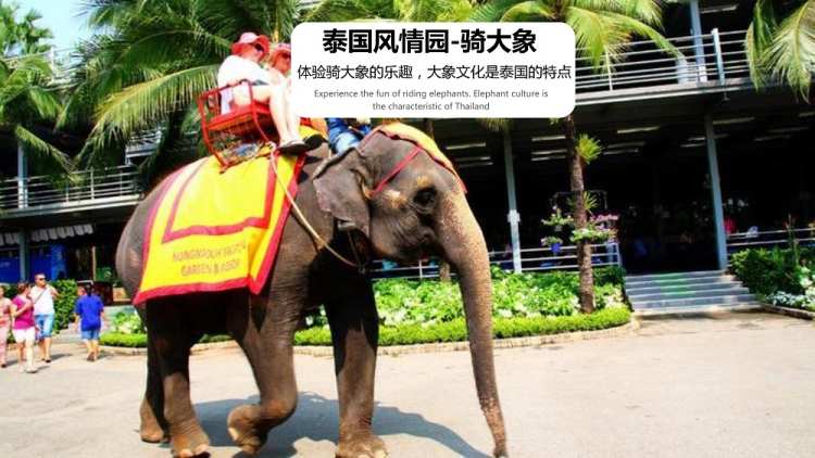 醉美泰国6天5晚(图15)