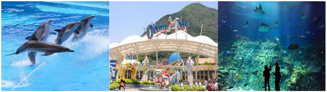 HK08香港高端纯玩观海自三天游（香港观光+海洋公园+自由行）(图12)